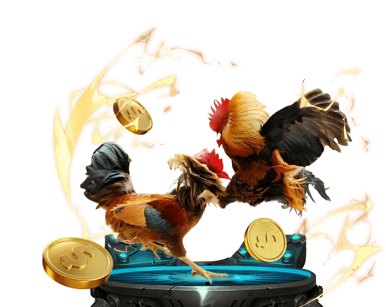 Ưu điểm vượt trội 333666v